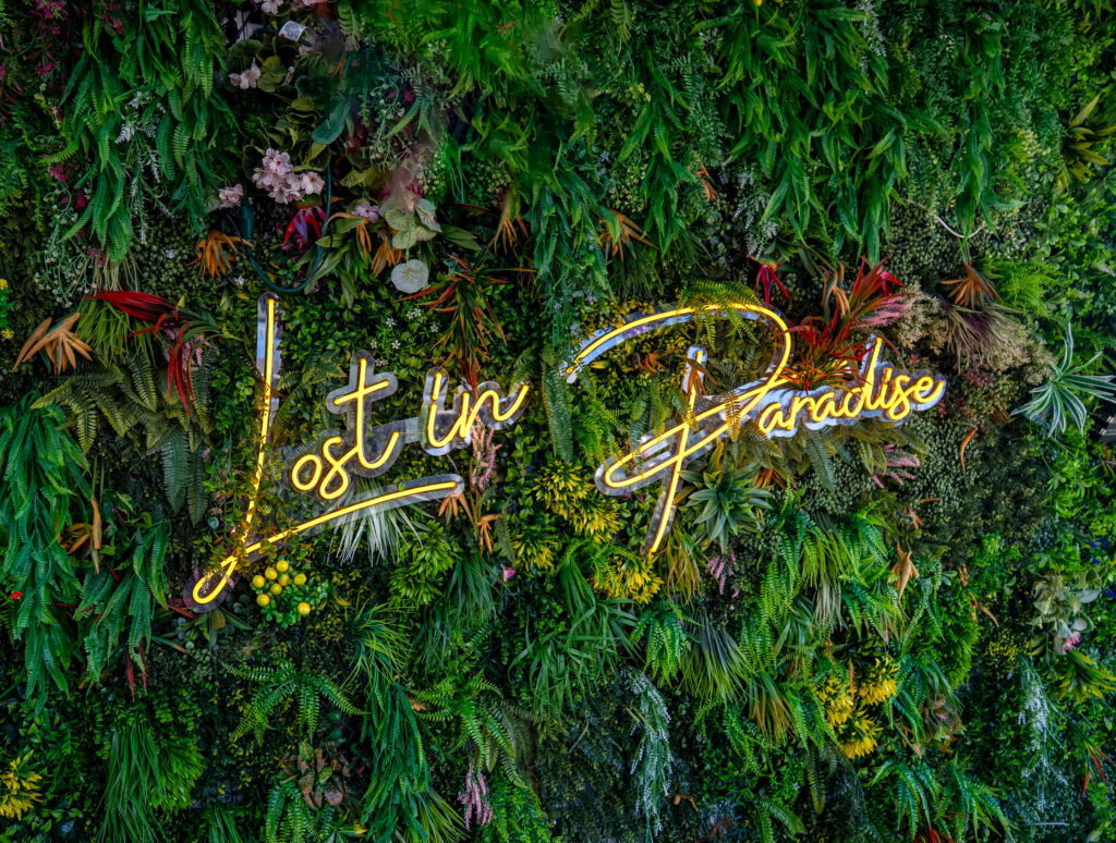 lost-in-paradise-rooftop-sign